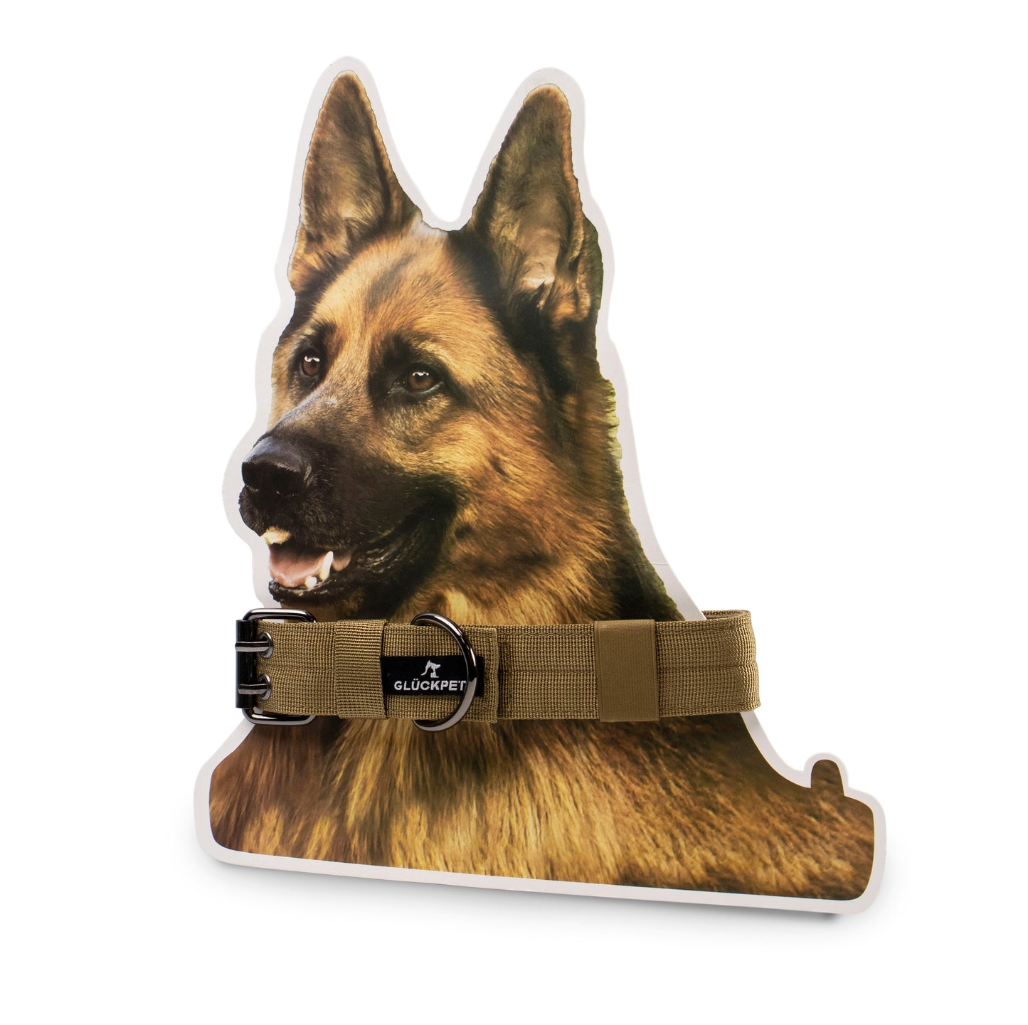 GLÜCKPET Collar para Perro con Tira Adhesiva Mágica y Anilla para Etiquetas, Verde Militar